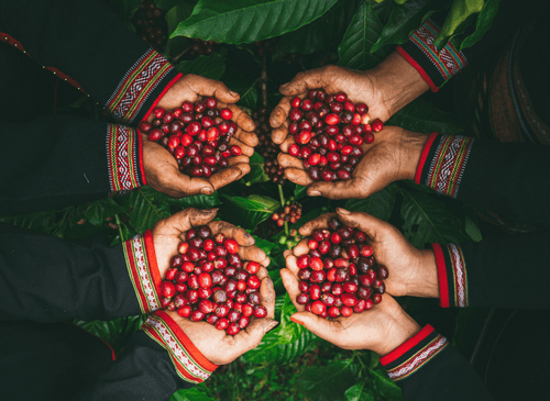 Agricultural worker in Vietnam
